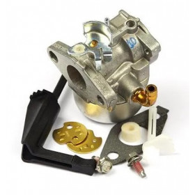 Carburateur 798653 BRIGGS ET STRATTON