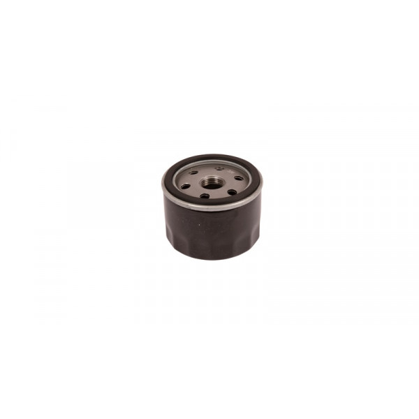 Filtre à huile B&S 696854 585730401 HUSQVARNA