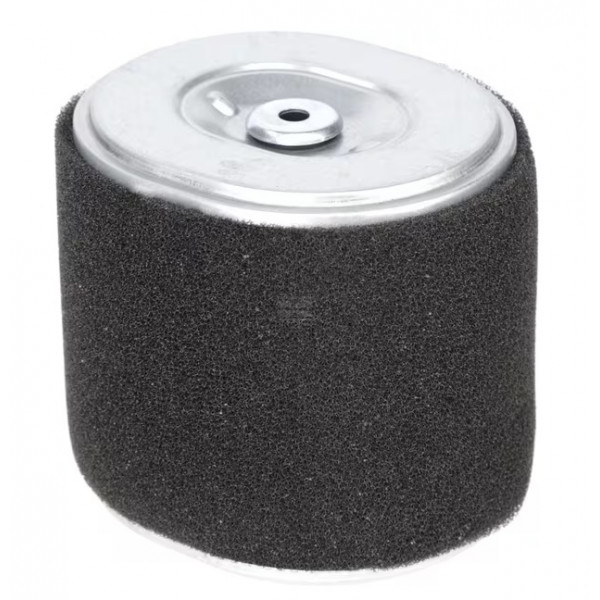Filtre à air 1800207620001 Moteur LONCIN