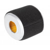 Filtre à air 1800207620001 Moteur LONCIN