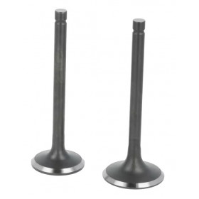 Kit de soupapes moteur LC2P77F LONCIN