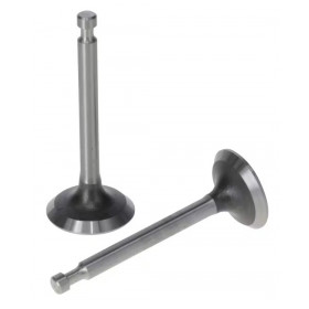 Kit de soupapes moteur G420FCD LONCIN