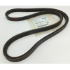 Courroie ventilateur 1562897010 KUBOTA