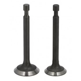 Kit de soupapes moteur LC1P85FA LONCIN