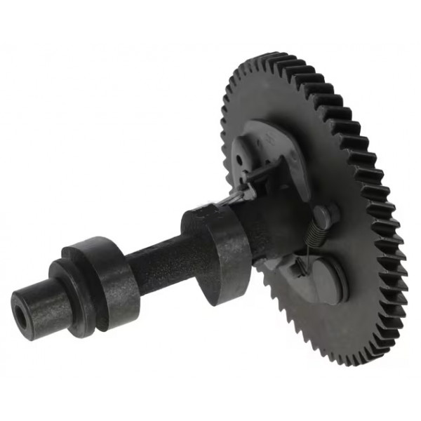 Arbre à cames moteur G390FAD G390FI LONCIN