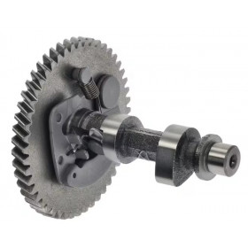 Arbre à cames moteur G200FA G200FR LONCIN